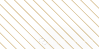 斜条纹-金色.png 斜条纹-金色.png